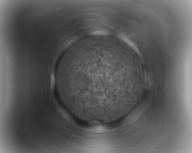 X0000088630061200706011152