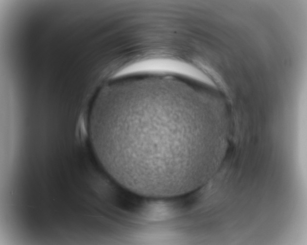 X0000088630062200706011152