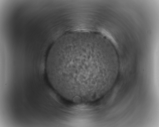 X0000088630065200706011152