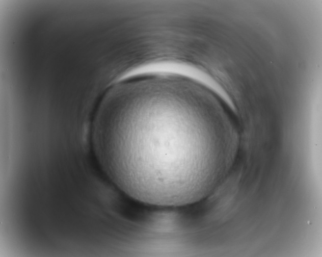 X0000088630066200706011152