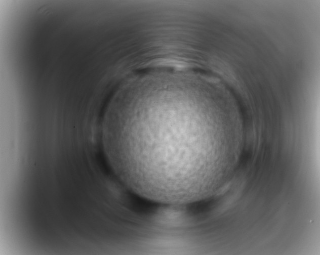 X0000088630078200706011152