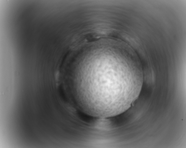 X0000088630087200706011152