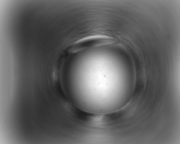 X0000088630090200706011152