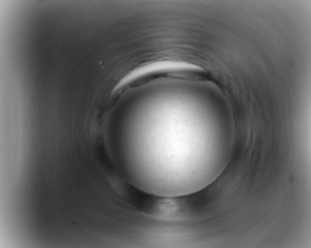 X0000088630091200706011152