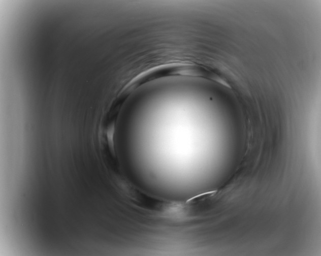 X0000088630096200706011152