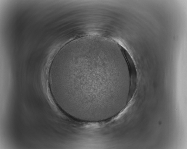 X0000088630097200706011152