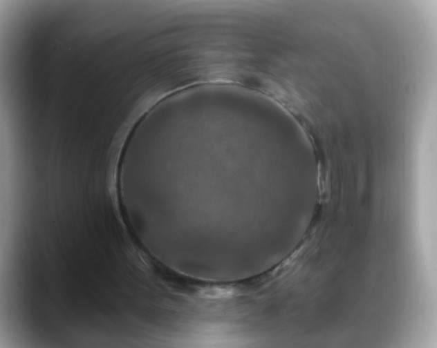 X0000088630099200706011152