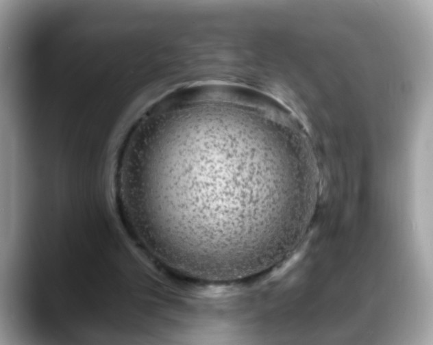 X0000088630101200706011152