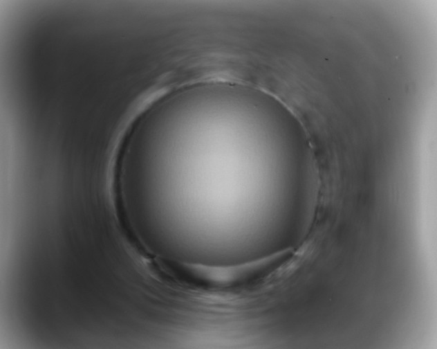 X0000088630104200706011152