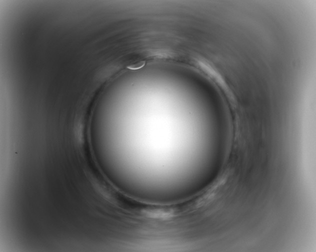 X0000088630106200706011152