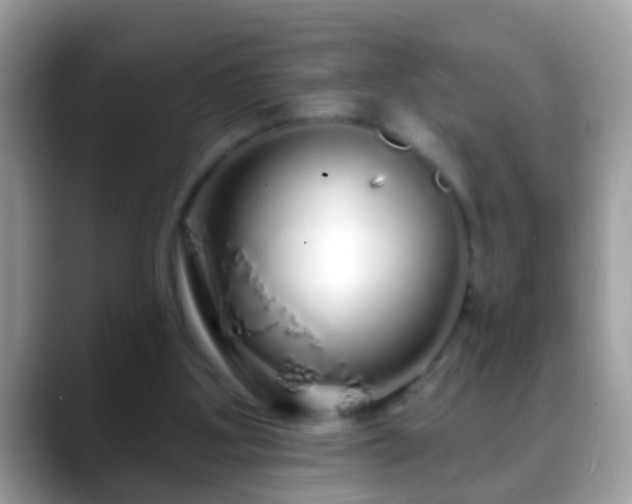 X0000088630107200706011152