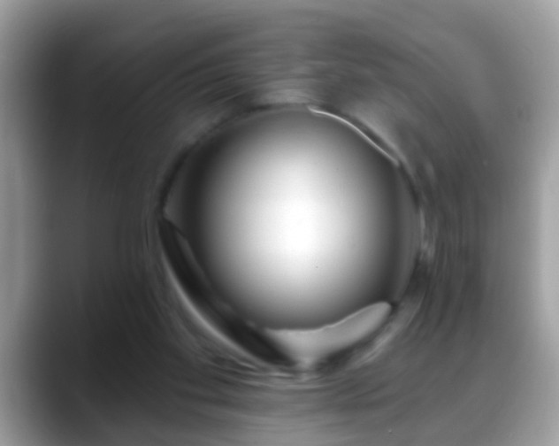 X0000088630109200706011151