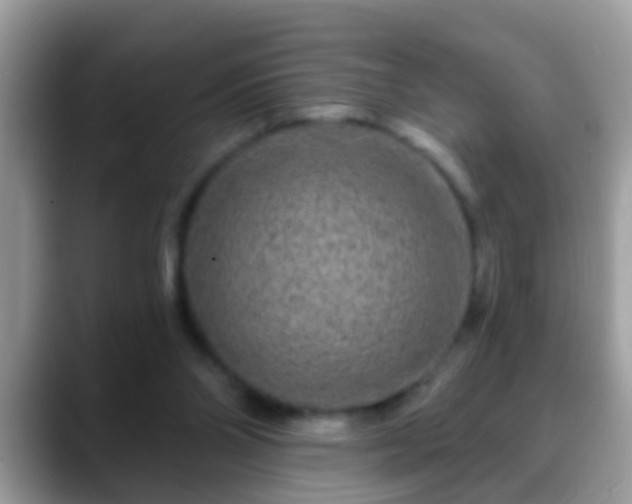 X0000088630110200706011151