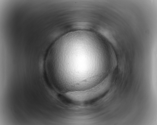 X0000088630111200706011151