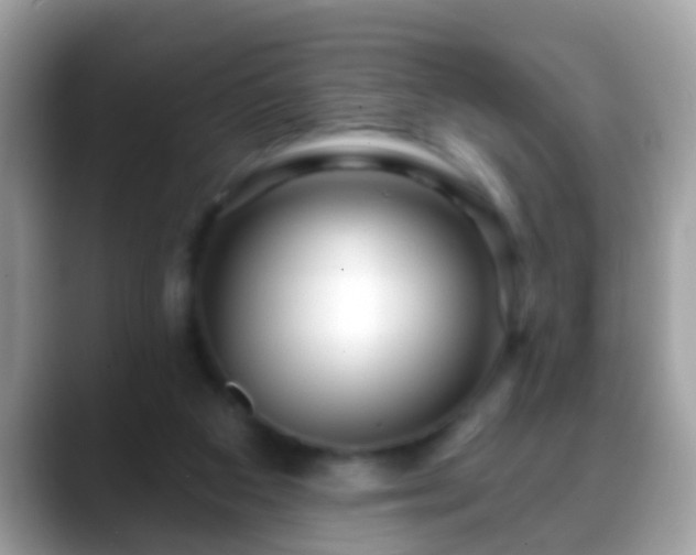 X0000088630113200706011151