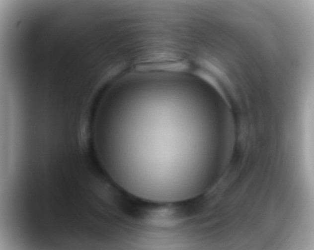 X0000088630116200706011151