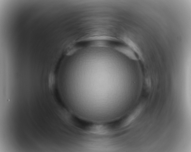 X0000088630117200706011151