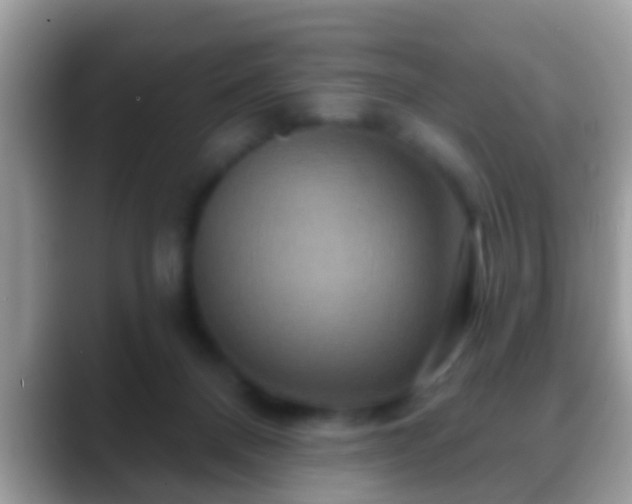 X0000088630120200706011151