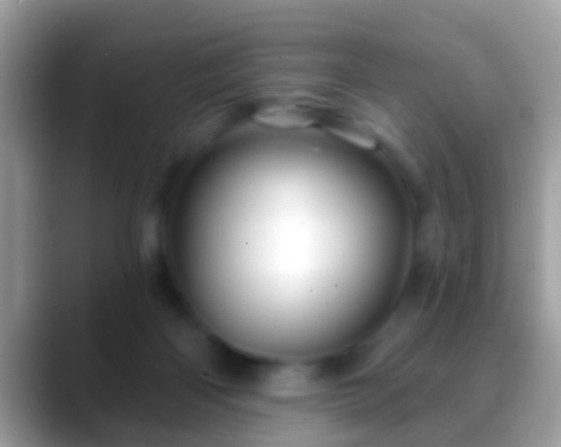 X0000088630122200706011151