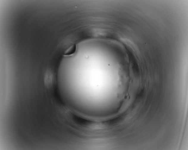 X0000088630123200706011151