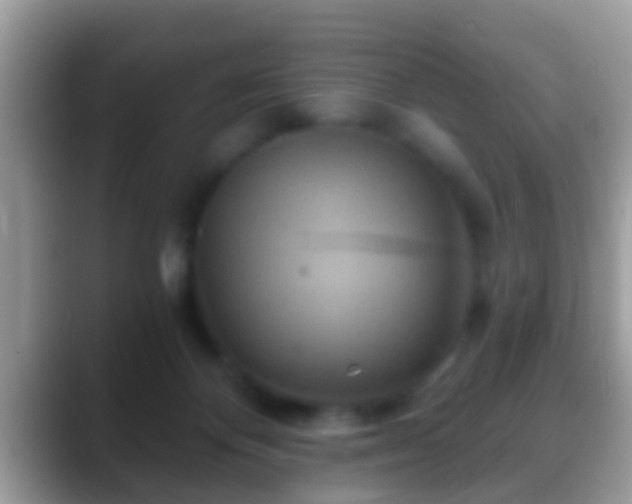 X0000088630124200706011151