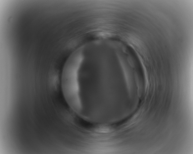 X0000088630127200706011151