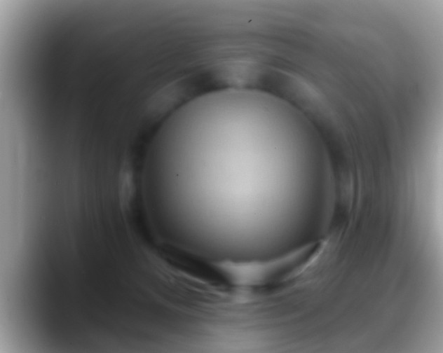 X0000088630128200706011151