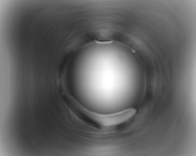 X0000088630129200706011151