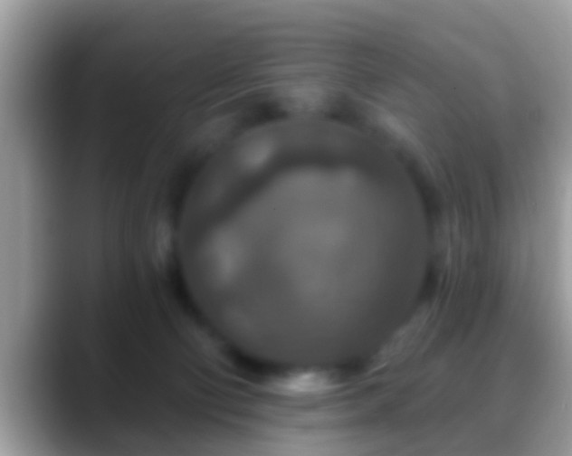 X0000088630130200706011151