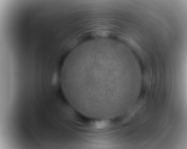 X0000088630134200706011151