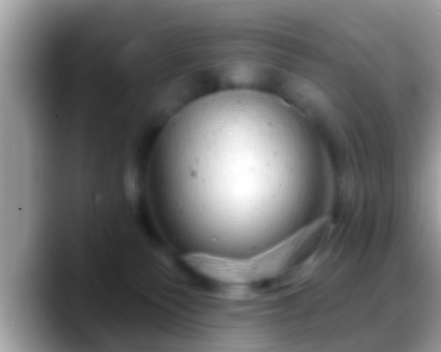 X0000088630135200706011151