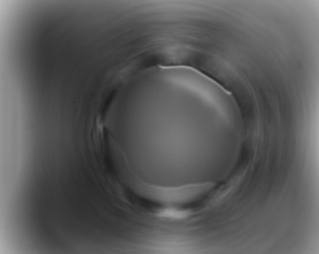 X0000088630137200706011151