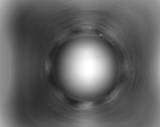 X0000088630138200706011151