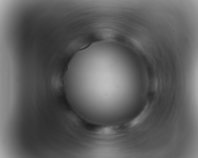 X0000088630140200706011151