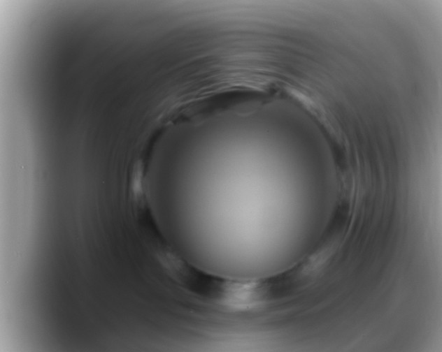 X0000088630143200706011151