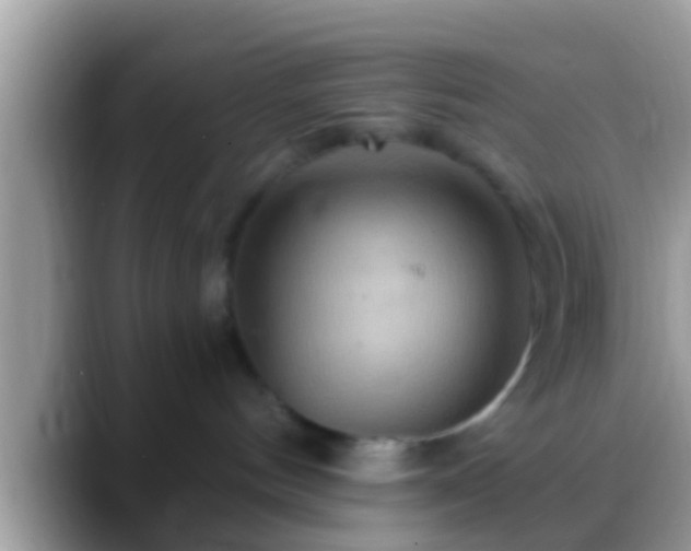 X0000088630144200706011151