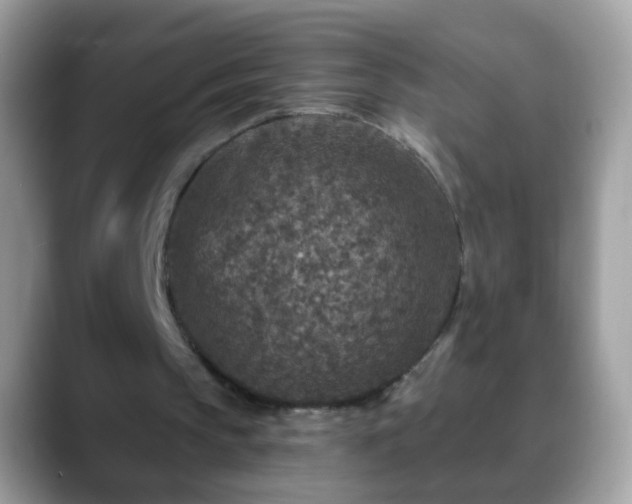 X0000088630145200706011151