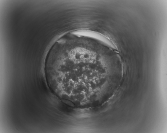 X0000088630147200706011151