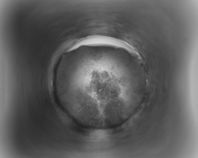 X0000088630149200706011151