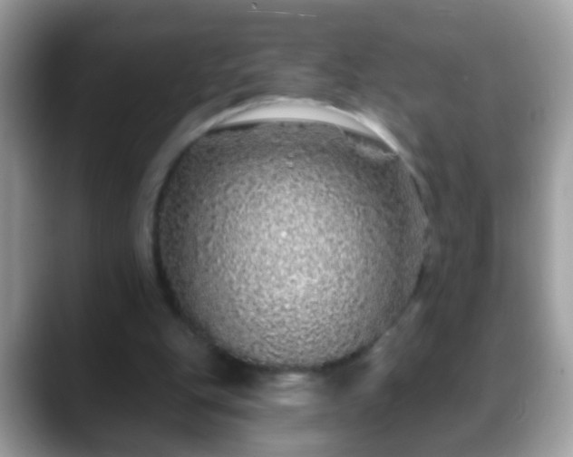 X0000088630151200706011151