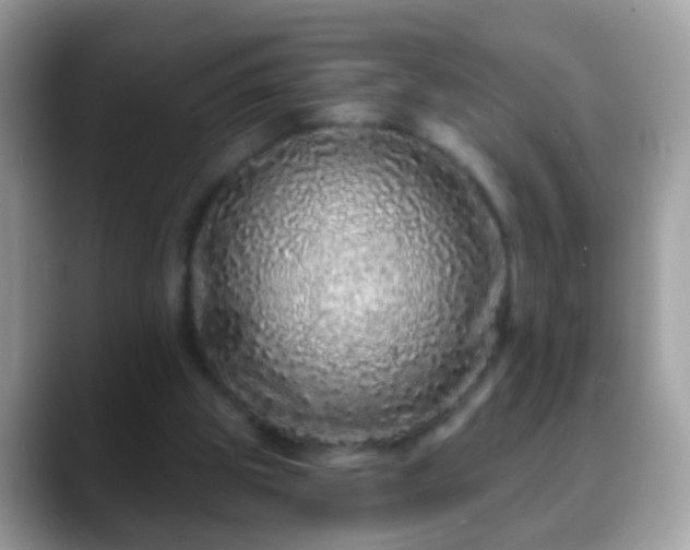 X0000088630153200706011151