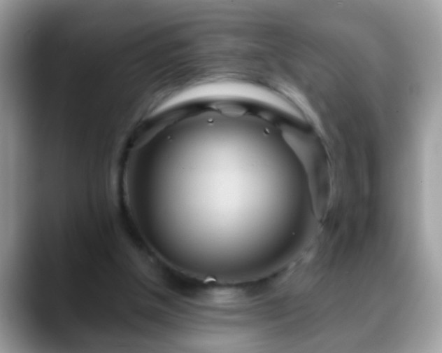 X0000088630154200706011151