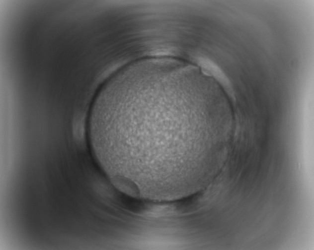 X0000088630155200706011151