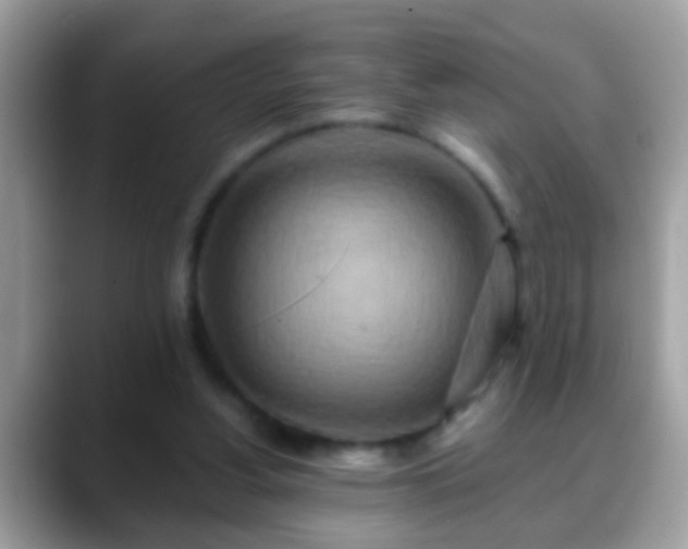 X0000088630156200706011151