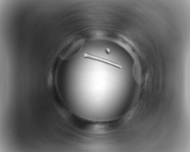 X0000088630158200706011151