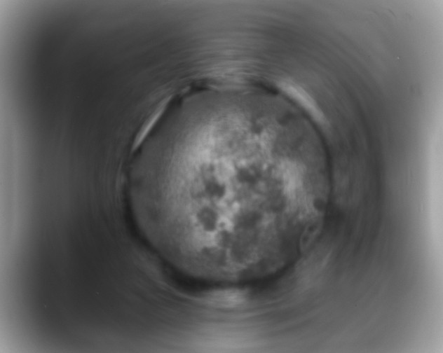 X0000088630161200706011151