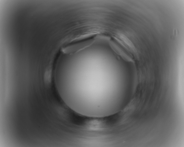 X0000088630163200706011151