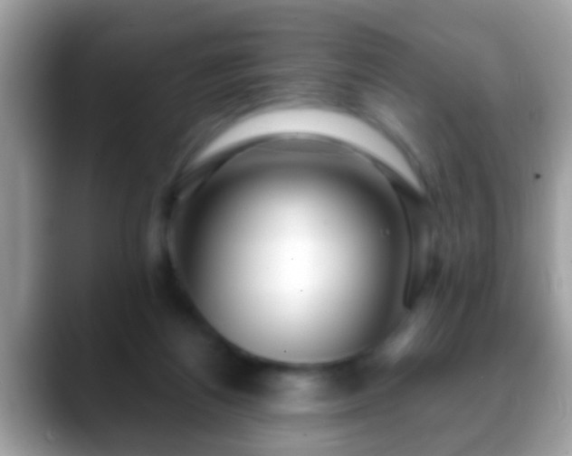 X0000088630164200706011151