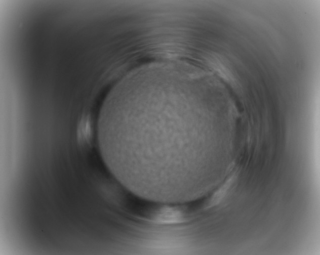 X0000088630166200706011151