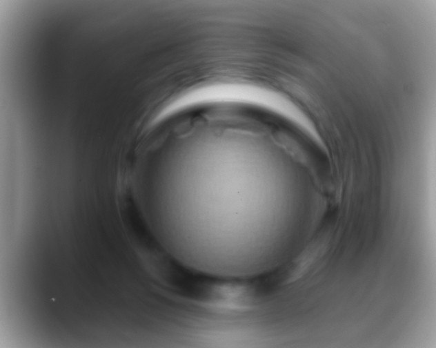 X0000088630168200706011151